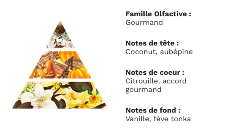 PYRAMIDE OLFACTIVE - CITROUILLE MERVEILLEUSE PYRAMIDE OLFACTIVE - CITROUILLE MERVEILLEUSE