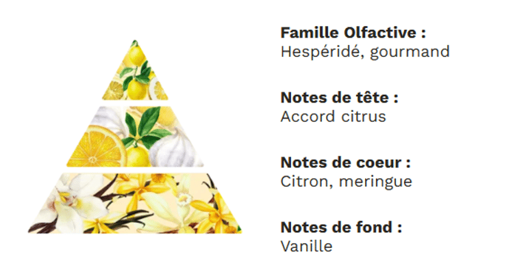 Pyramide olfactive - Citron meringué Pyramide olfactive - Citron meringué