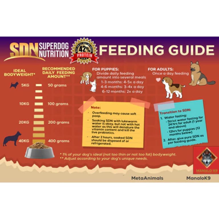 Feeding Guide