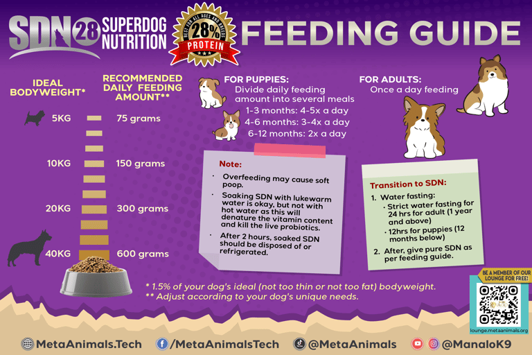 Feeding Guide