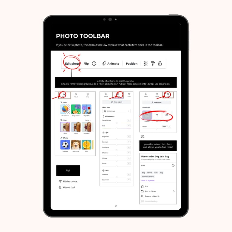 Your Canva Confidence Starts Here (And It’s 100% Free! Your Canva Confidence Starts Here (And It’s 100% Free!
