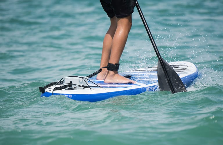 Epropulsion Vaquita