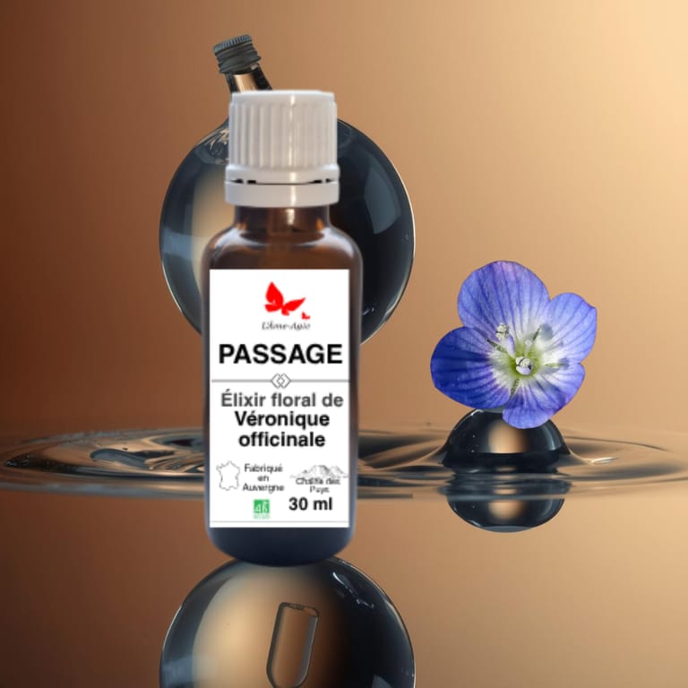 Flacon d'élixir floral PASSAGE, Véronique officinale, L'Âme-Agie.
