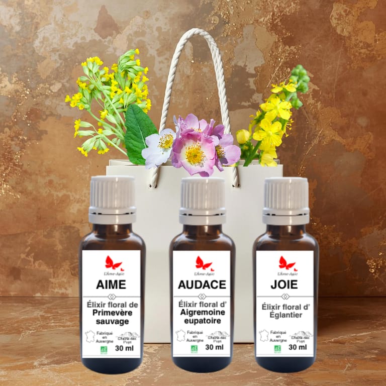 Flacons "Guérison du cœur", L'Âme-Agie. Flacons "Guérison du cœur", L'Âme-Agie.