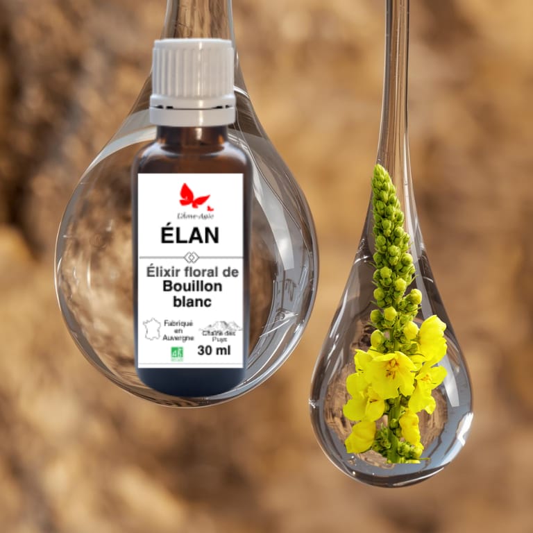 Flacon d'élixir floral ÉLAN, Bouillon blanc, L'Âme-Agie. Flacon d'élixir floral ÉLAN, Bouillon blanc, L'Âme-Agie.
