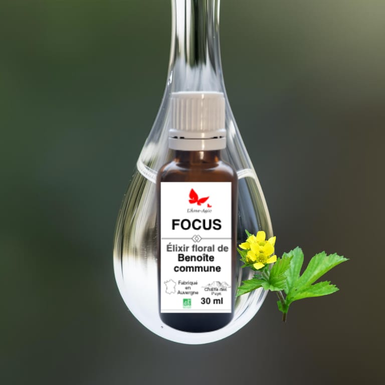 "Flacon d'élixir floral Focus L'Âme-Agie, Benoîte commune, 30 ml."