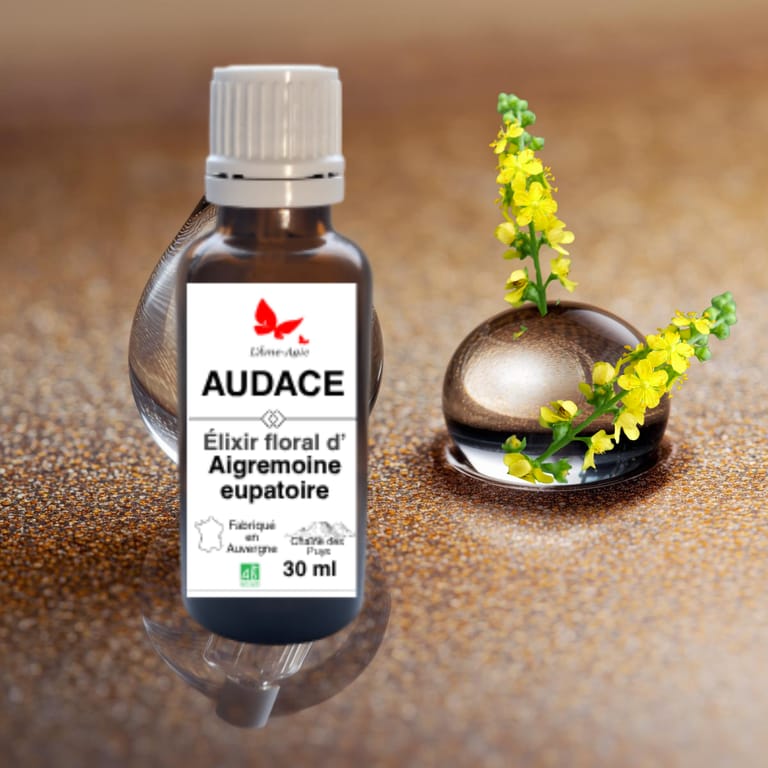 Flacon d'élixir floral AUDACE, Aigremoine eupatoire, L'Âme-Agie.