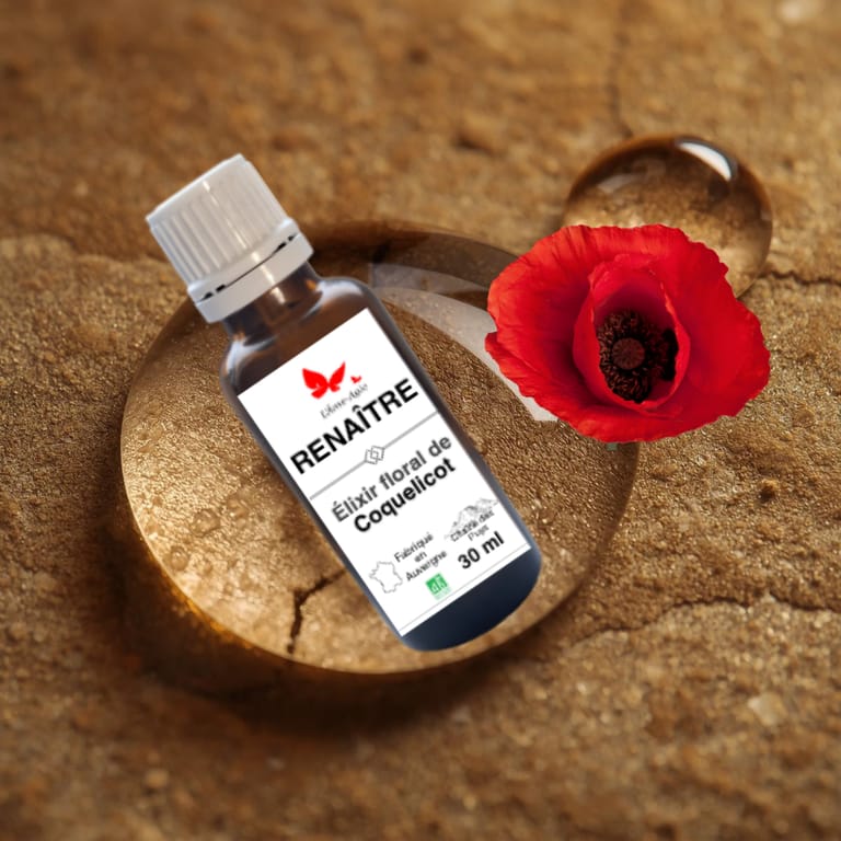 Flacon d'élixir floral RENAÎTRE, Coquelicot, L'Âme-Agie.
