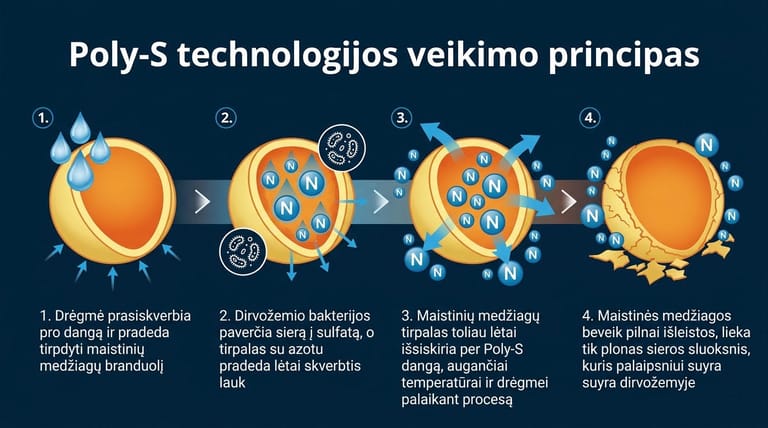 Poly-S technologija Poly-S technologija