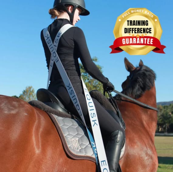 Equisk Training Aid Straps product image