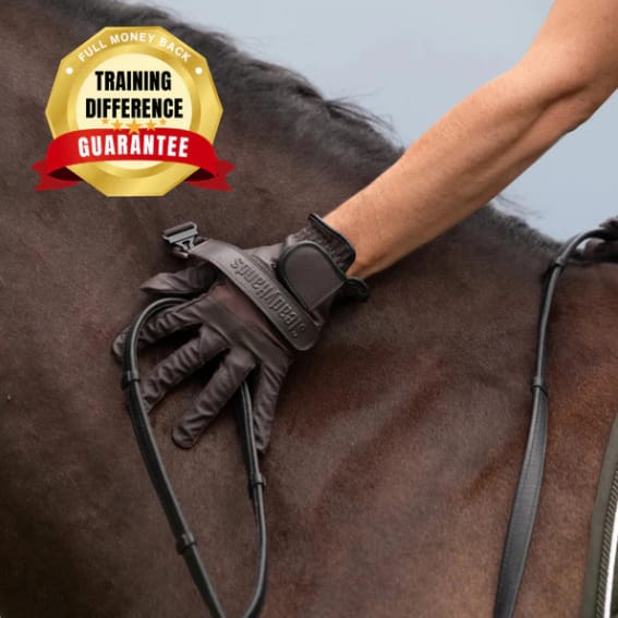 Specialized Equestrian Training Gloves product image