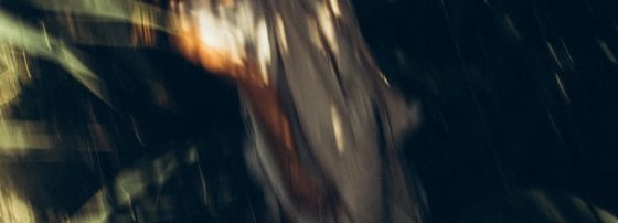 woman in white and brown dress standing on green grass during night time