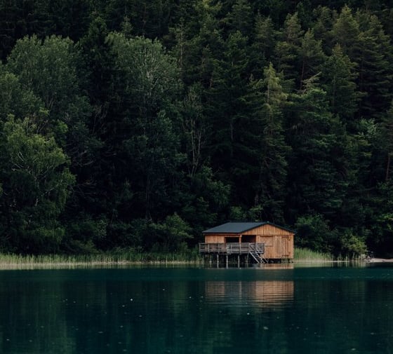 brown wooden house on lake