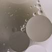 White and gray ovals