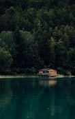 brown wooden house on lake