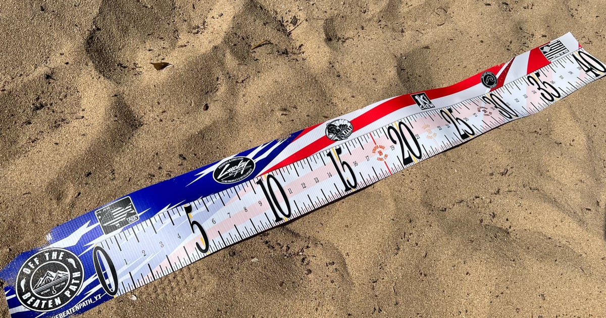 Fish Measuring Device