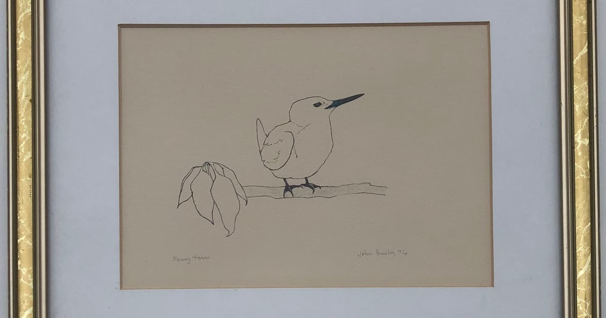 Original Bird Drawing, John Busby 1974. New to market. Articator