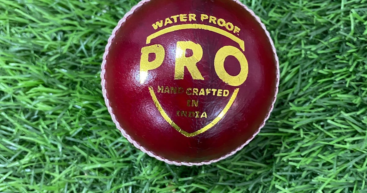 Best Cricket Ball for Net Practices and 40 Over Matches Mark Divine