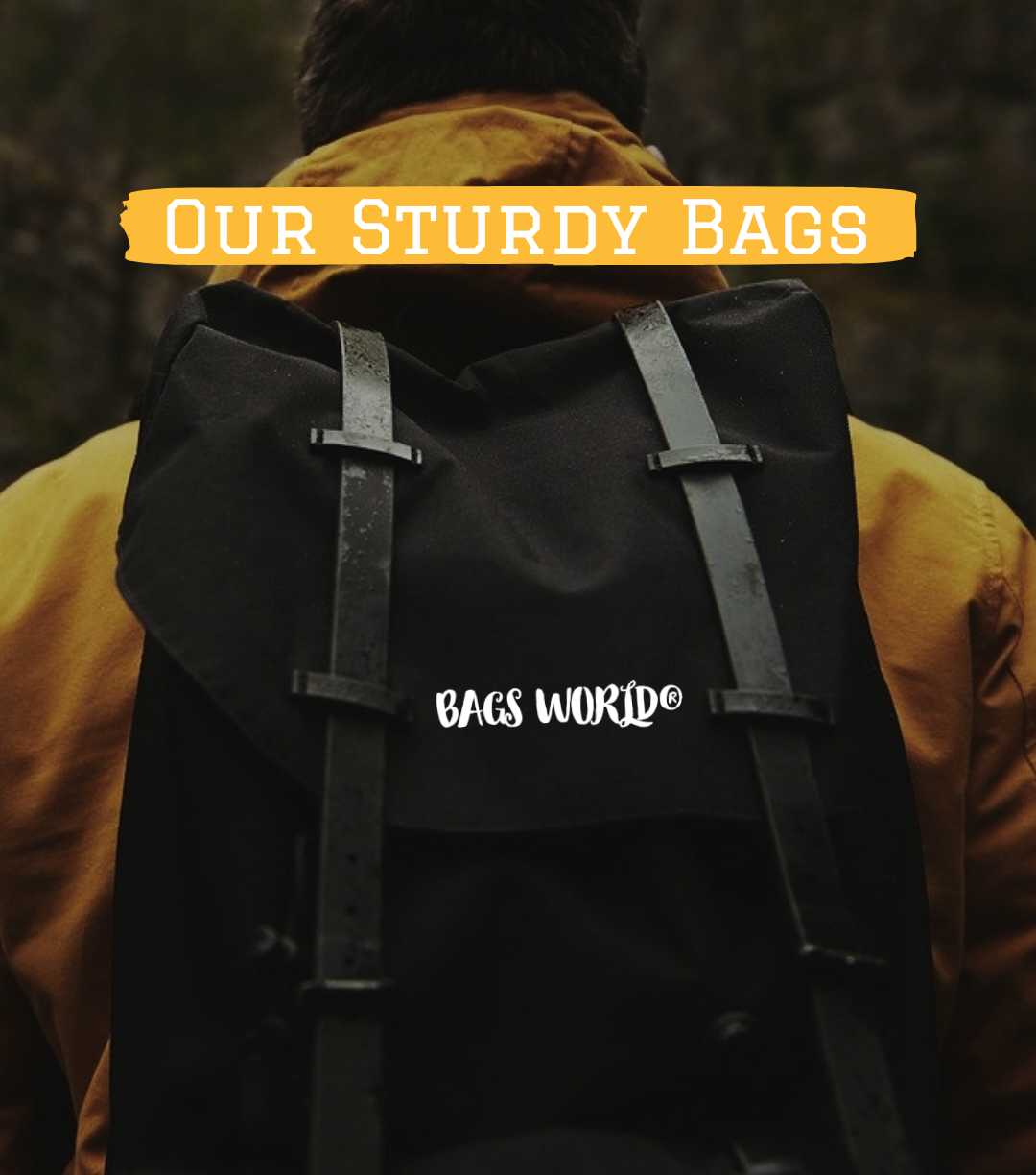 Bag world stores top