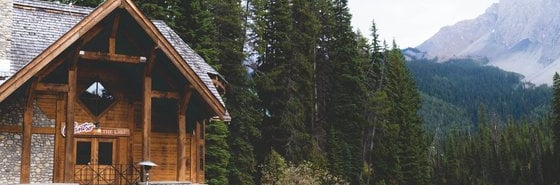 brown wooden house near lake surrounded by green trees during daytime