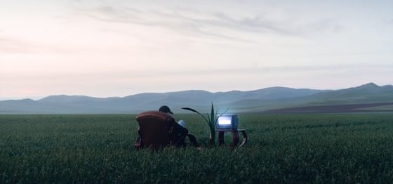 people sitting on grass field during daytime