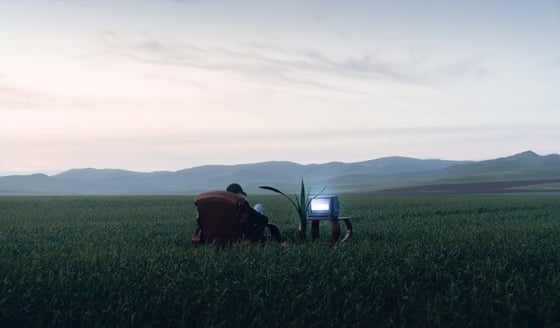 people sitting on grass field during daytime