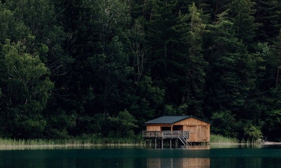 brown wooden house on lake
