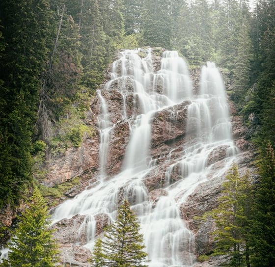 water falls in the forest