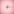 White flower in pink background