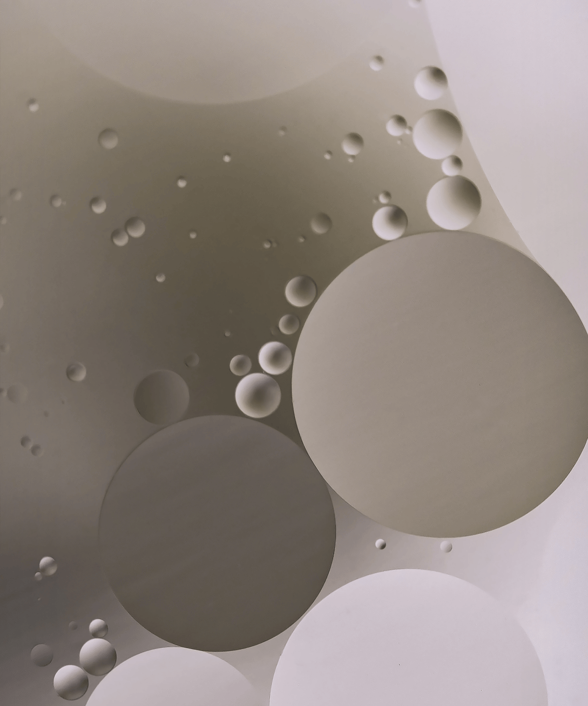 White and gray ovals