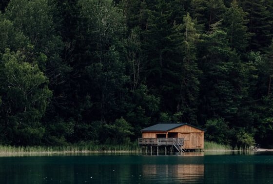 brown wooden house on lake