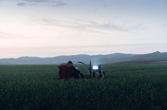 ¿Por qué una página web puede ser tu mejor vendedor en el sector agropecuario?