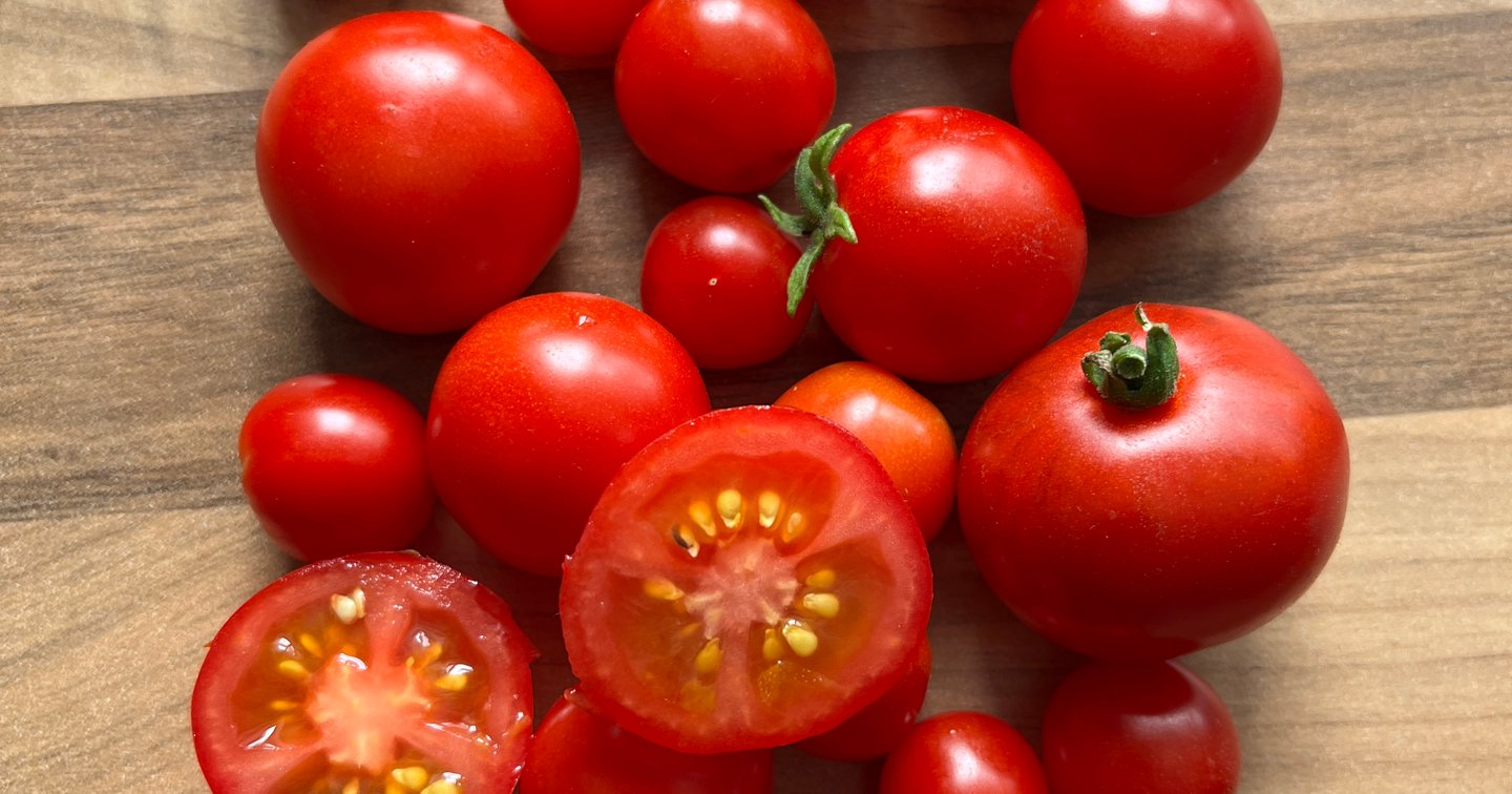 Chibikko Tomato: Micro Dwarf Tomato Seeds | NRTomatoseed
