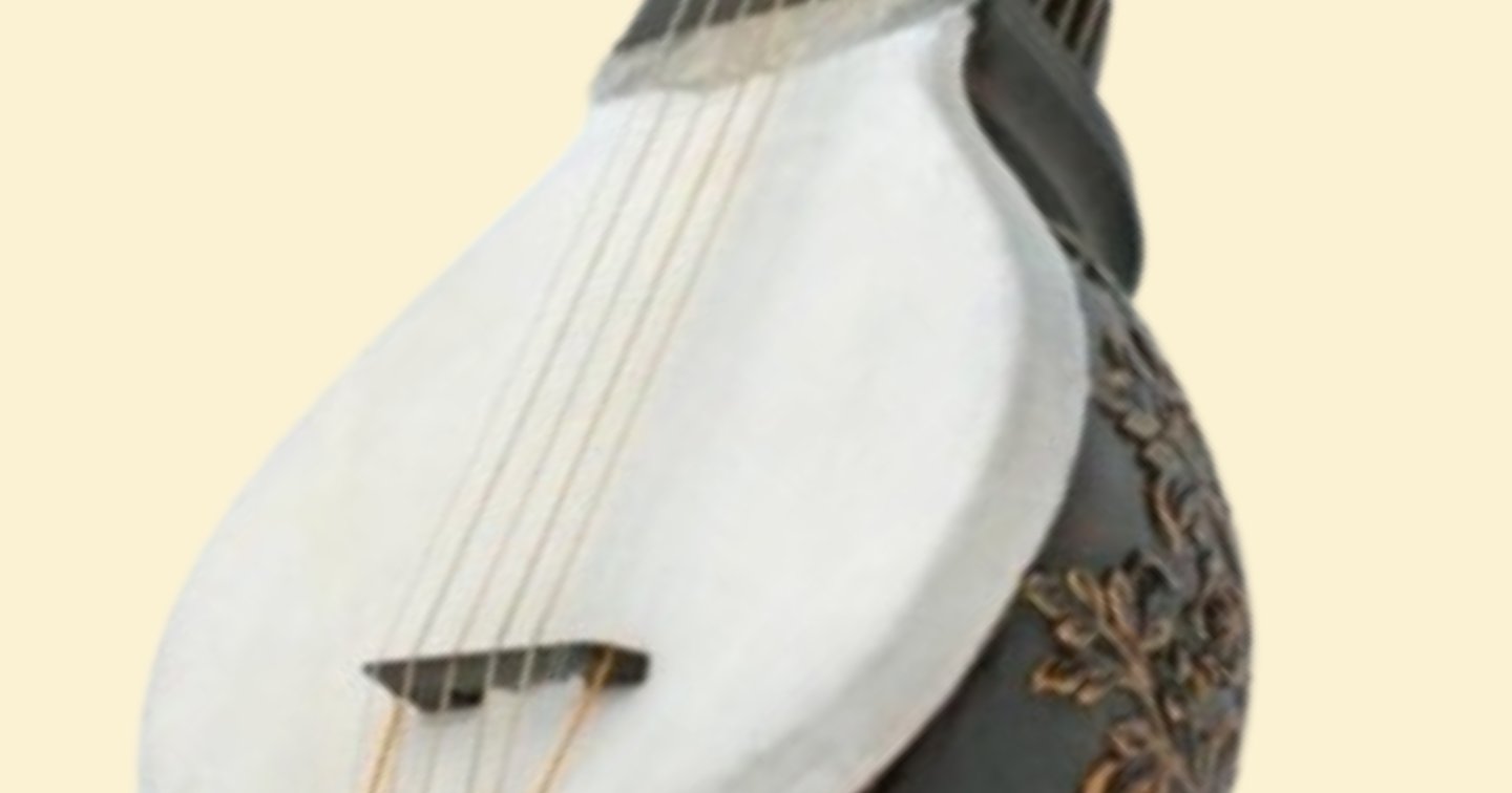 Nanakshahi Rabab - Premium (With Exclusive Handcrafted Inlay Work ...