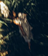 woman in white and brown dress standing on green grass during night time