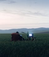 people sitting on grass field during daytime