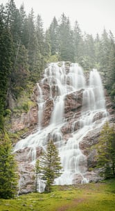 water falls in the forest