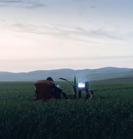 people sitting on grass field during daytime