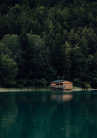 brown wooden house on lake