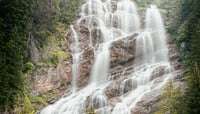 water falls in the forest