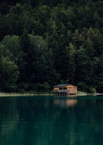 brown wooden house on lake