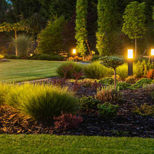 **Seasonal Sale** Outdoor Landscape Lighting Installation