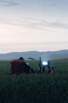 people sitting on grass field during daytime
