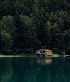brown wooden house on lake