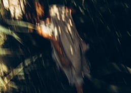 woman in white and brown dress standing on green grass during night time