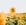 yellow sunflower field during daytime