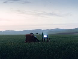 people sitting on grass field during daytime