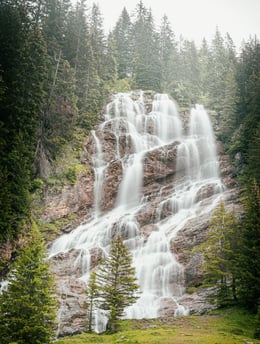 water falls in the forest