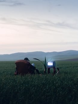 people sitting on grass field during daytime