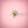 White flower in pink background
